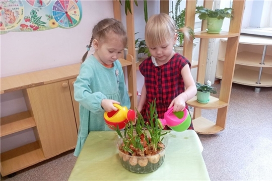 Выращивание лука на подоконнике. (1 корпус)