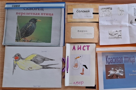 Исследовательская деятельность «Перелётные птицы» (2 корпус)
