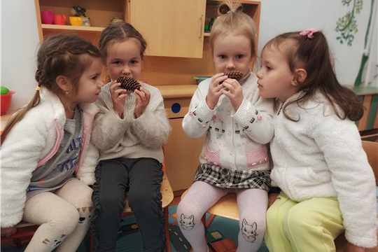 Знакомство с окружающим миром