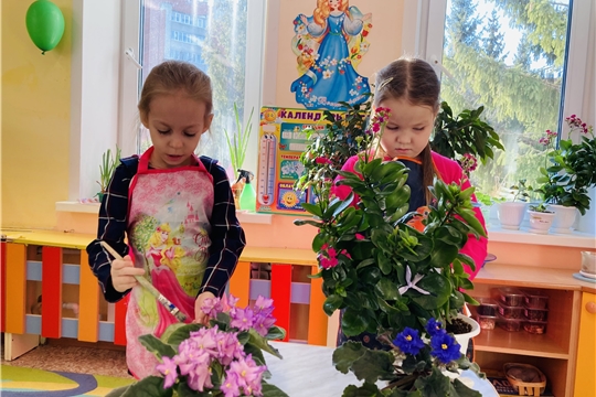 Труд в уголке природы
