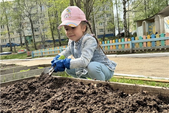 Юные эколята-дошколята начали работу на огороде детского сада