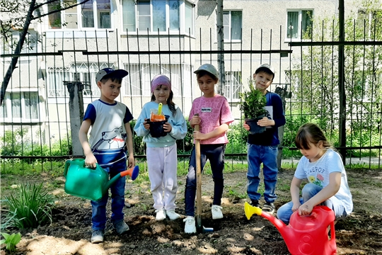 Посади дерево и сохрани его
