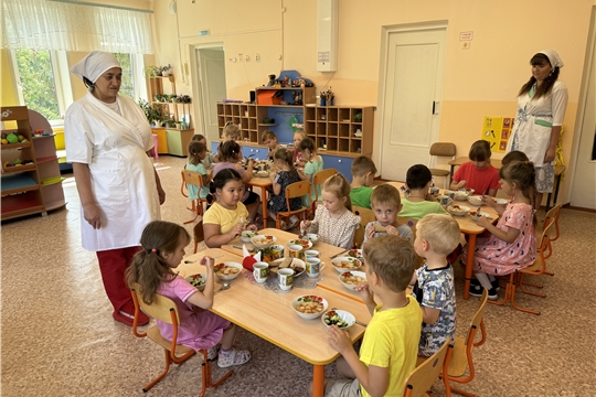 Родительский контроль за организацией питания