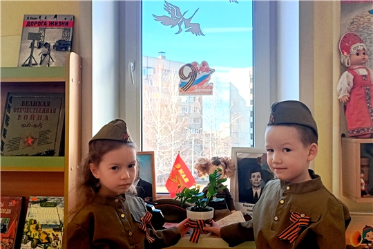 Цветок ветерану