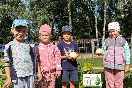 Собираем урожай