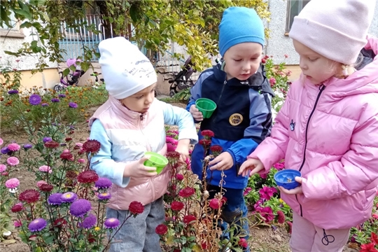 Дошкольники собирают семена цветов