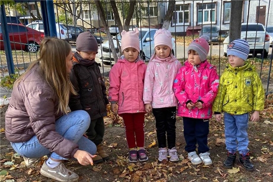 Что скрывают яркие листочки?