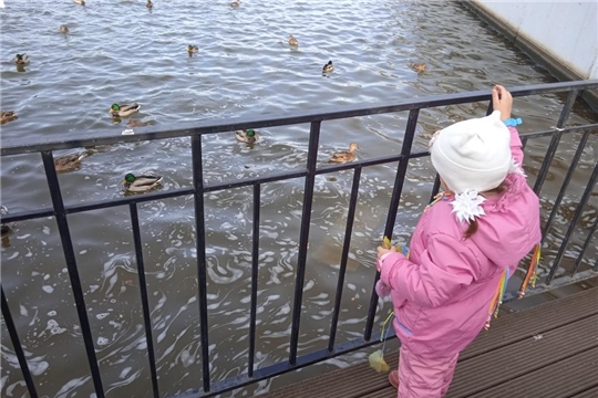 Опасность осенних водоемов
