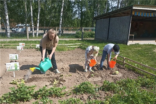 Поливаем огород
