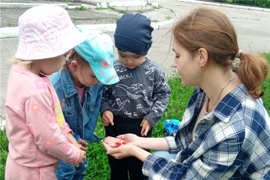Не все ягоды полезны