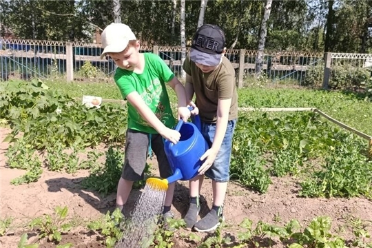 Трудовое воспитание