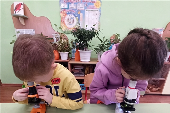 Познавательный час "Хочу все знать"