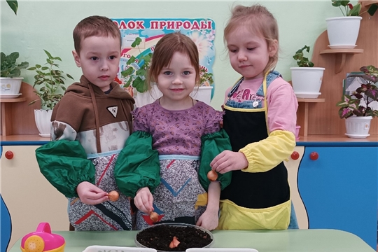 Лук сажаем-иммунитет укрепляем