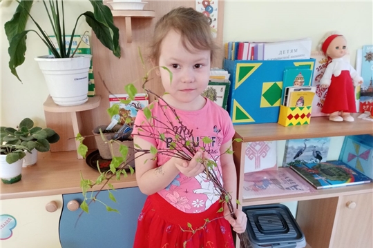 Наблюдение за деревьями и кустарниками