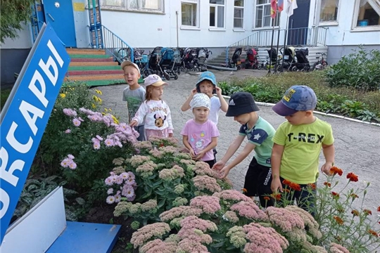 Осенние цветы