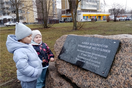 Прогулка по аллее "Нотариусов Чувашской Республики"