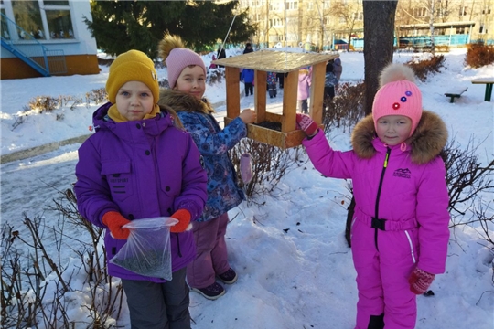 Покормите птиц зимой