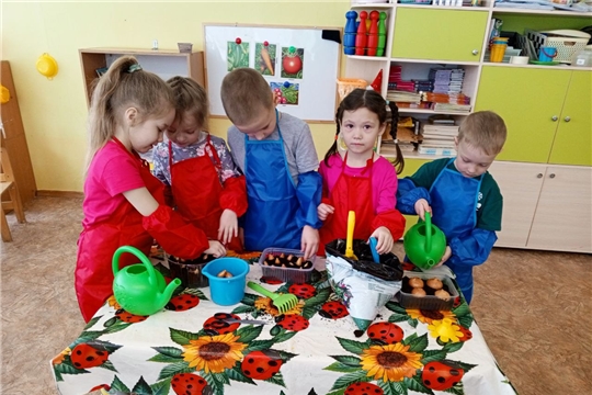 Огород на окне
