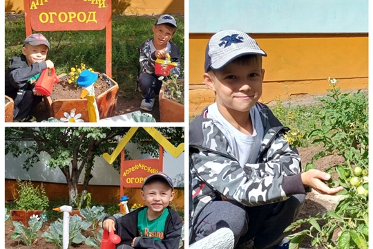 «ЭкоЛето» в детском саду