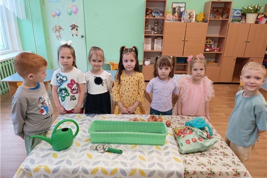 Лук - от всех недуг!