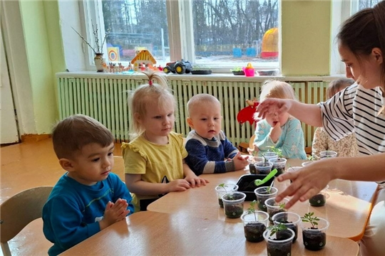 Нескучный огород