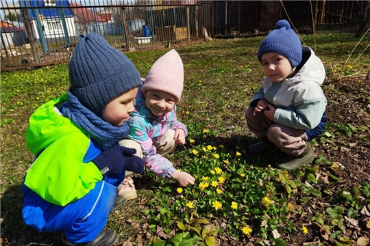 Наблюдение за изменениями в природе весной