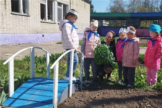 "День Эколят"