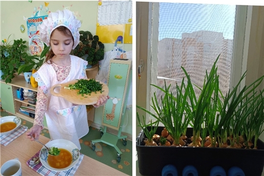 Сами посадили, сами вырастили!