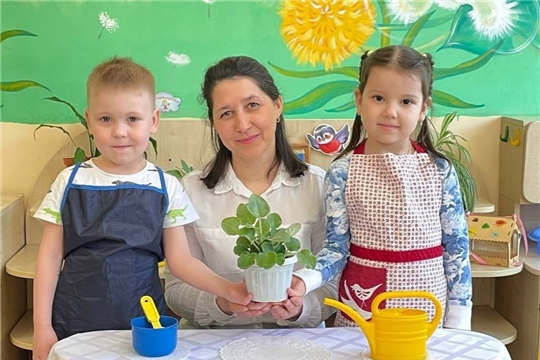 Цветок ветерану