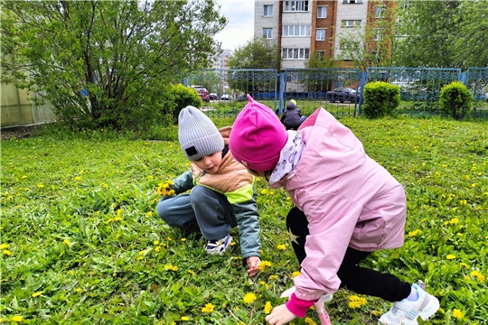 Всемирный День одуванчиков!