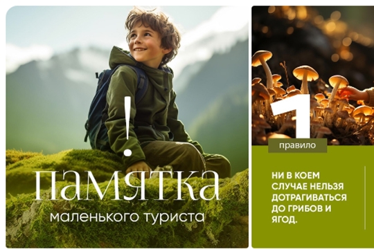 Правила поведения в природе
