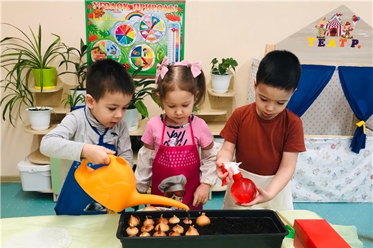 Лук сажаем - иммунитет укрепляем!
