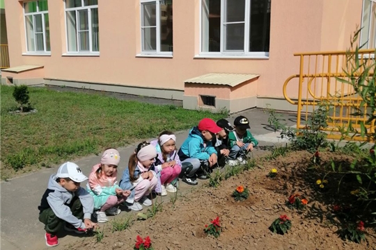 День любителей природы