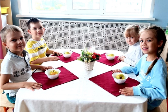 Любимые и полезные яблоки