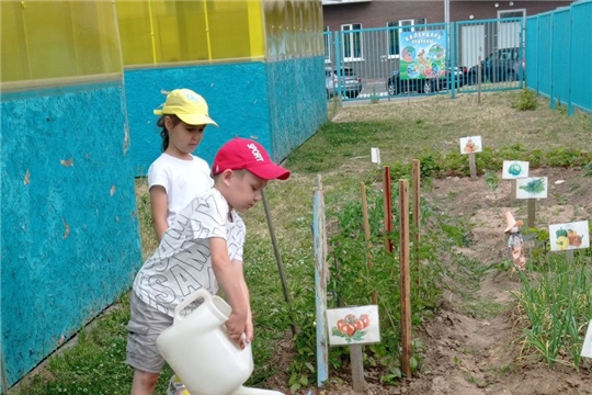 День огородника