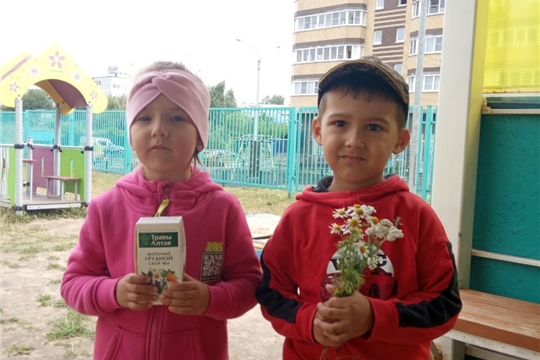 День лекарственных трав