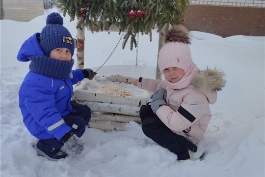 Всероссийский день зимующих птиц