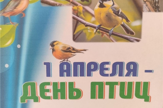 День птиц