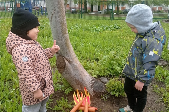 Огонь - наш друг, огонь- наш враг