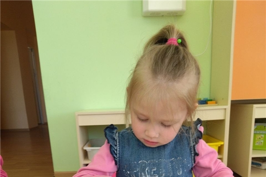 Цветы мимозы