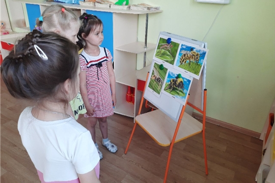Насекомые и их укусы