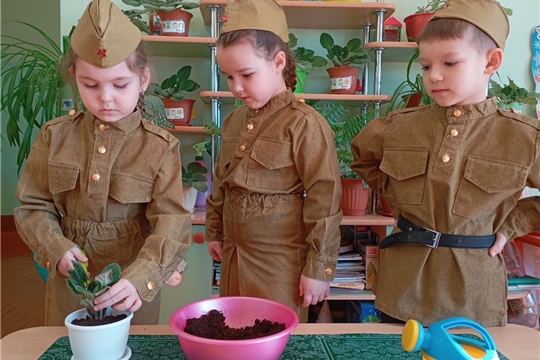 Цветок ветерану. 1 этап