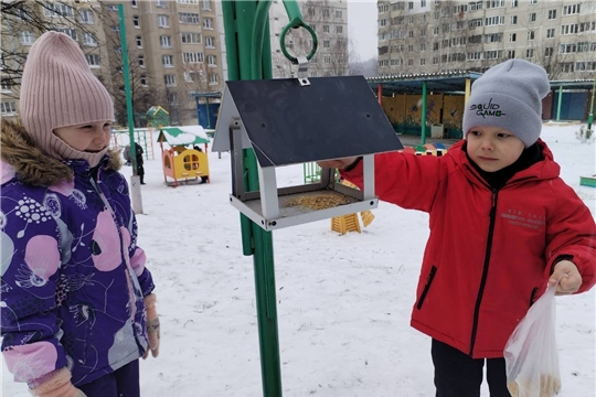Экологическая акция "Покормите птиц зимой!"