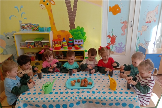 Свежая зелень