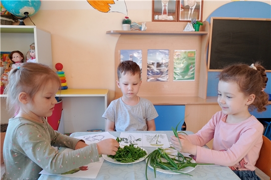Зелень-кладезь витаминов