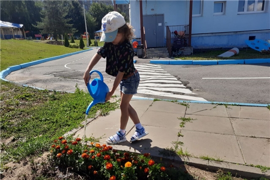 Уход за цветниками