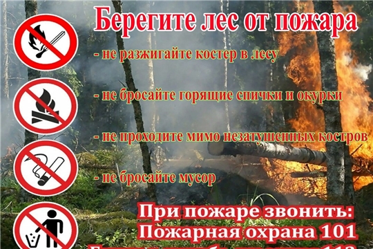 О правилах пожарной безопасности в лесу