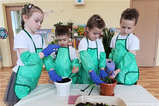 Акция «Цветок ветерану» в группе «Светофорик»
