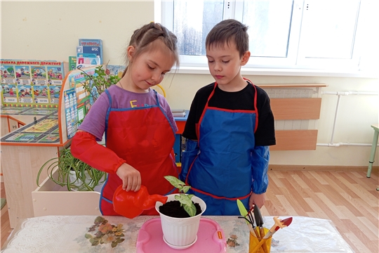 Акция «Цветок ветерану»