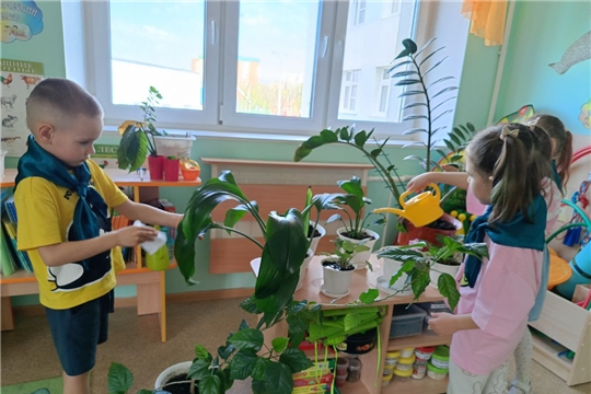 25 апреля – Всероссийский день Эколят
